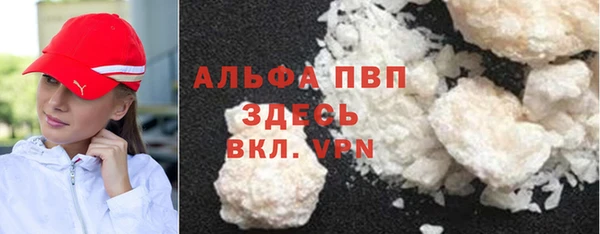 мет Алексин