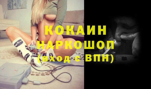 крисы Алзамай