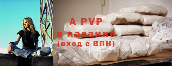 крисы Алзамай