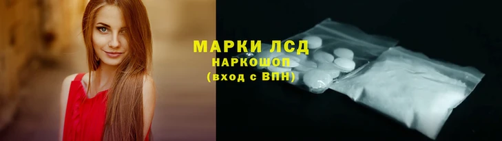 крисы Алзамай