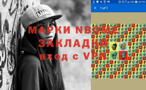 мет Алексин